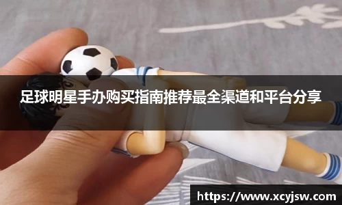 BB贝博艾弗森体育