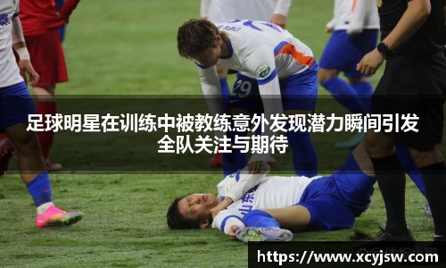 BB贝博艾弗森体育